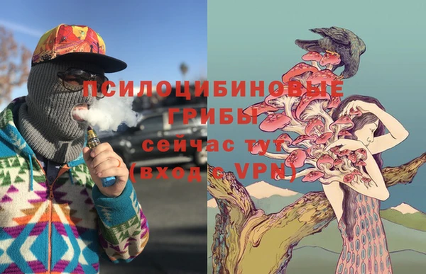 спиды Белокуриха